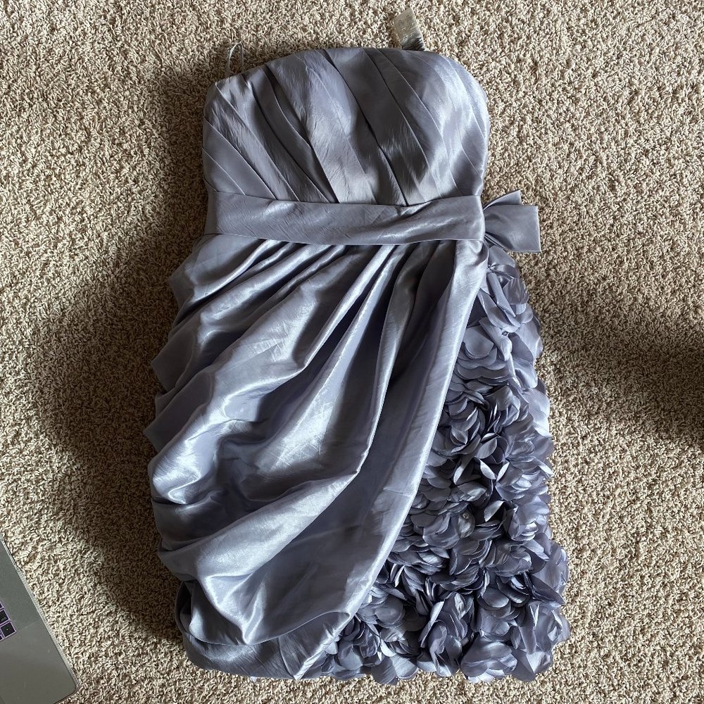 Silver Cocktail Dress